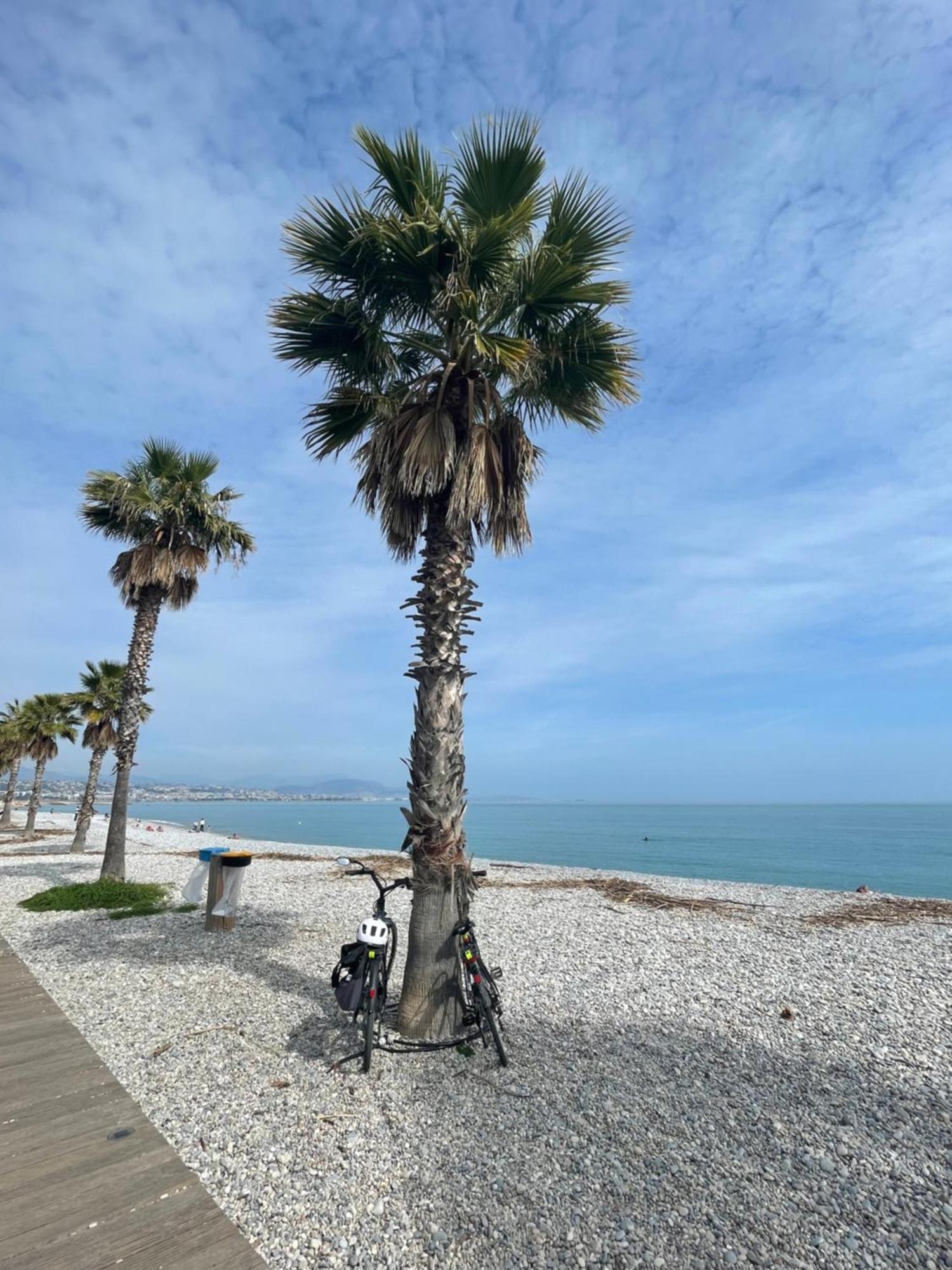 Villeneuve Loubet Plage- Entre Nice Et Cannes Exterior foto