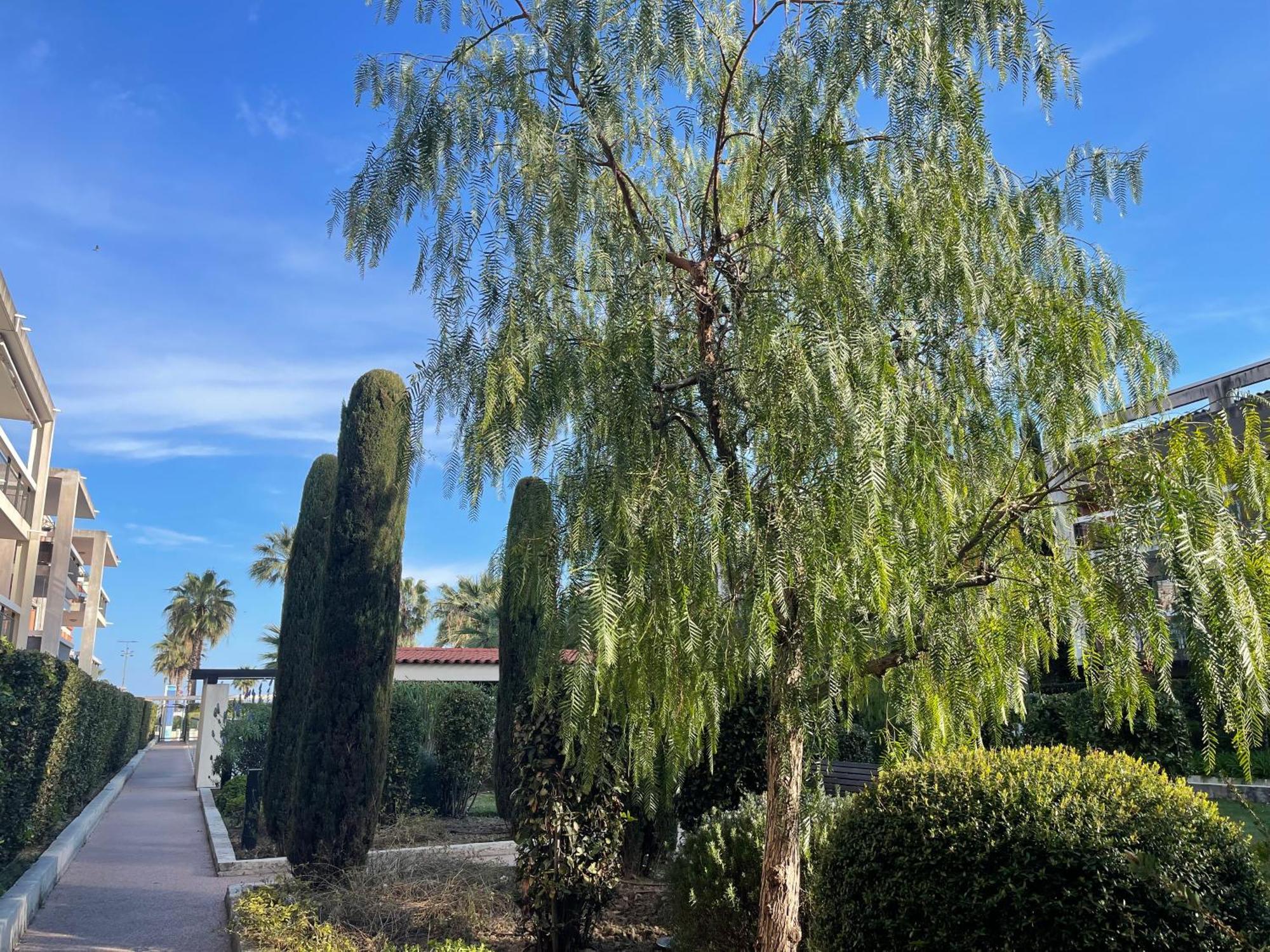 Villeneuve Loubet Plage- Entre Nice Et Cannes Exterior foto